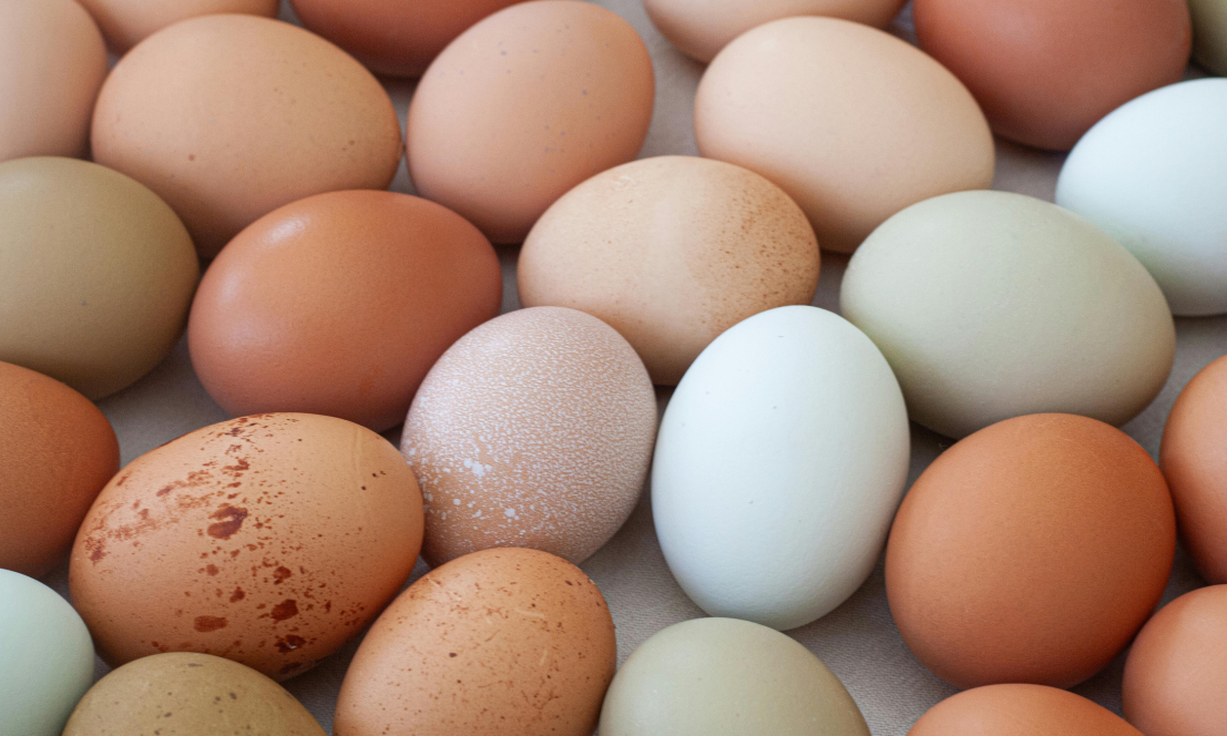 Egg Substitutes